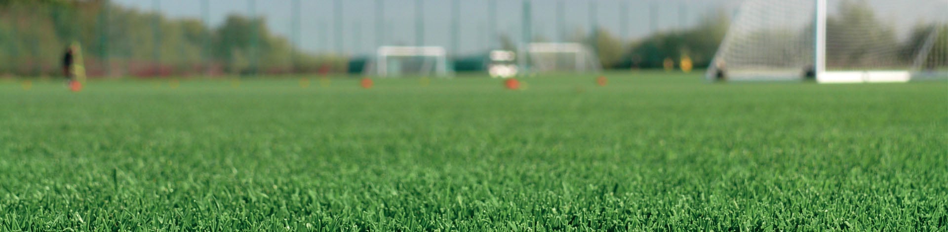 Oceans Turf Example Learn Why Seaweed is Beneficial For Turf and Lawns | ICL