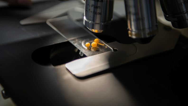 Developing the first-of-its-kind biodegradable CRF coating