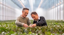 Keeping Orchid Production Resilient Under Energy Pressure