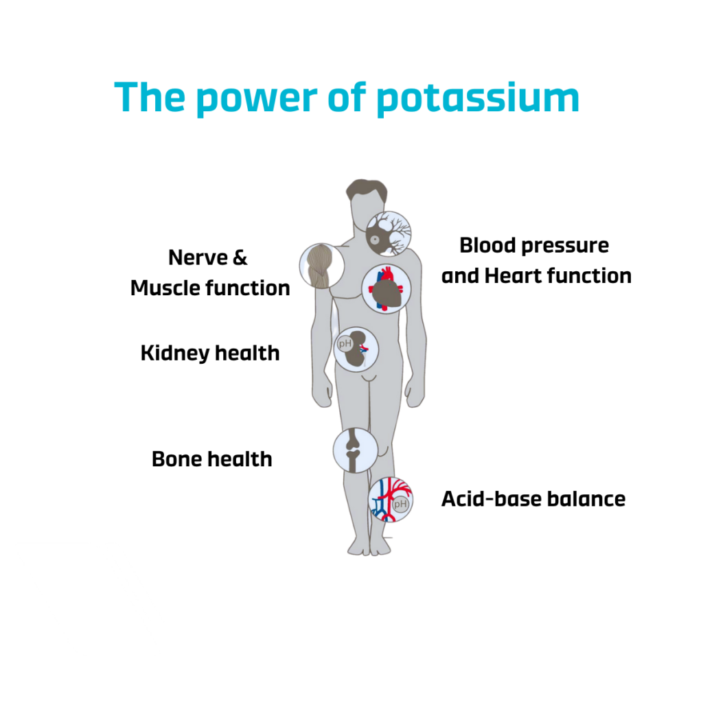 The Importance of Potassium in Human Nutrition and Health ICL