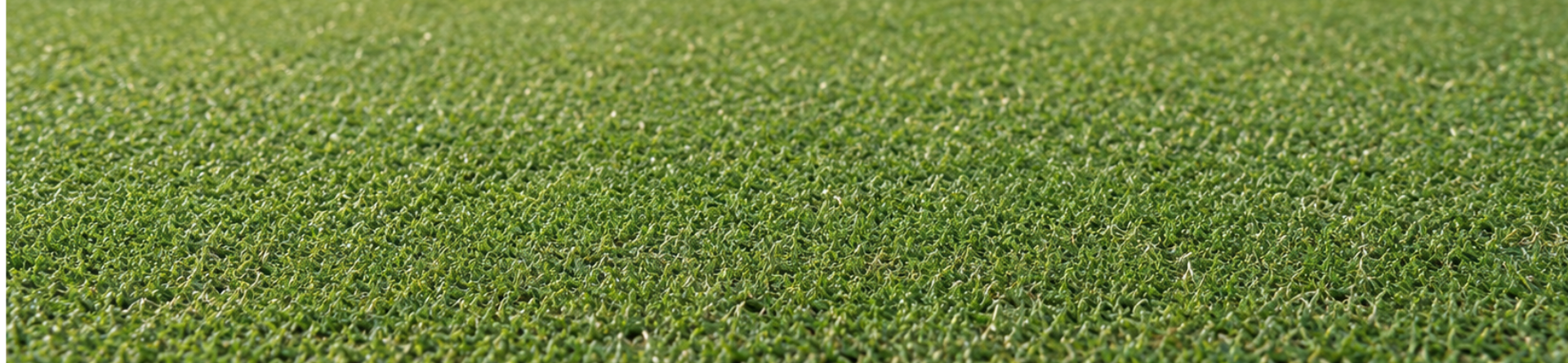 Riptide creeping bentgrass supports sward change at Dudsbury Golf Club, UK