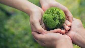 Fertilizers’ Effect on the Environment, Not What You Expect