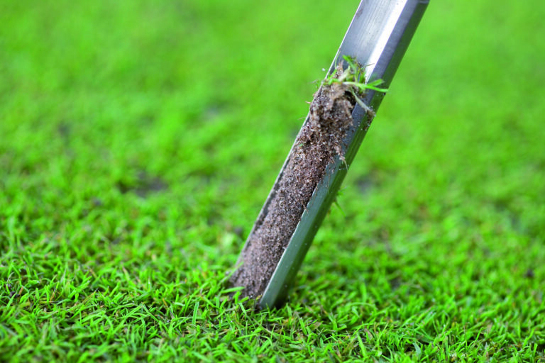 Embracing Integrated Turf Management for turf excellence | ICL