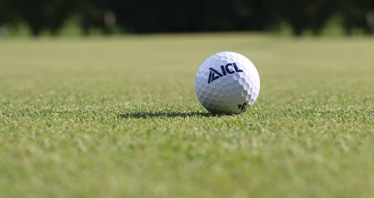 How grass varieties support sustainable turf management | ICL