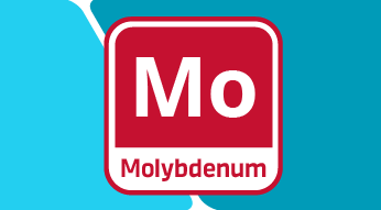 The Importance of Molybdenum in Plant Nutrition