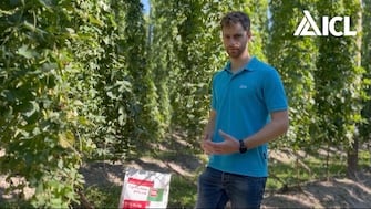 Agrolution pHLow: ICL’s innovative pH-lowering water-soluble fertilizer for hops