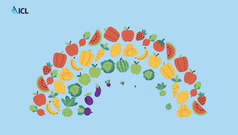 Discover NovAcid® – Smart Fertilization for Stronger Crops and Cleaner Systems!