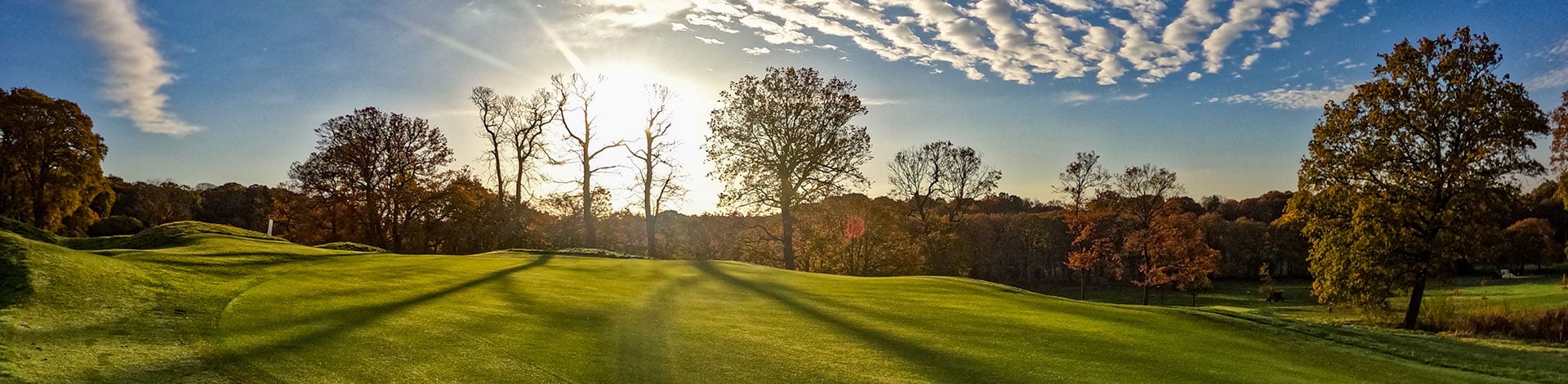 A-LIST turfgrass cultivars