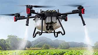 How FertiBuzz Complements Soil Fertilization Programs