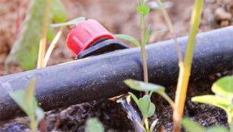 Why the World is Shifting to Water-Soluble Fertilizers