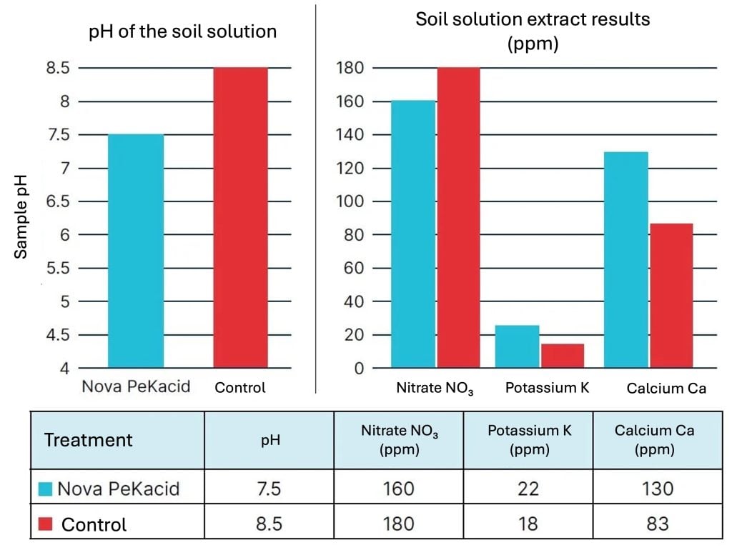 Two bar charts comparing Nova PeKacid treatment with a control in clay soil. The Nova PeKacid treatment reduces soil solution pH from 8.5 to 7.5 and increases potassium (22 vs. 18 ppm) and calcium (130 vs. 83 ppm), while nitrate is slightly lower (160 vs. 180 ppm). A table below summarizes the same values.