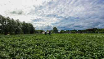 Protect your Fertilizers Against Leaching: Tips for a Wet Autumn