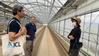 Optimizing Fertigation for Autumn–Spring Tomato Production