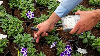 A Guide to pH in Ornamental Plant Production and Its Effects