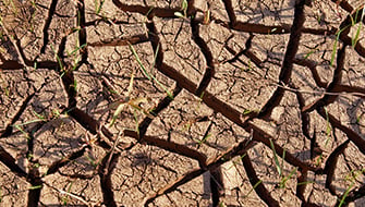 How to Fertilize During El Niño Drought Conditions