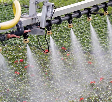 Optimized Water Uptake with H2Gro ED