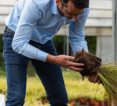 Better Drainage of Substrate with H2Gro ED