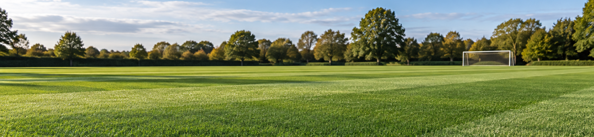 Fastball 3GL: perennial ryegrass cultivar profile