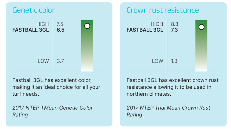 Fastball 3GL scored 6.5 for genetic color and 7.3 for Crown Rust resistance in 2017 NTEP testing.