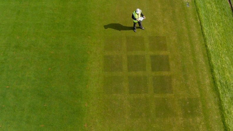 Aerial view of turf trial plots showing visible differences in turf color and response following applications of different iron formulations and application rates.