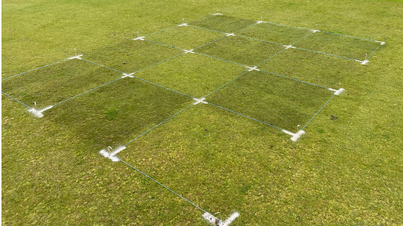 Field trial plots marked out on a managed turf surface for comparing different iron treatments and turf responses.