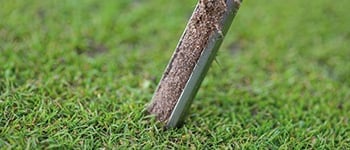Understanding a Soil Analysis