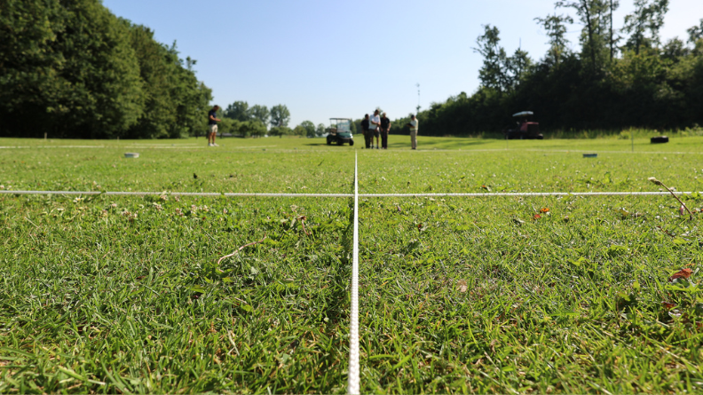 Marked fairway trial plots at Golfcentrum de Batouwe testing integrated approaches to broadleaf weed management.