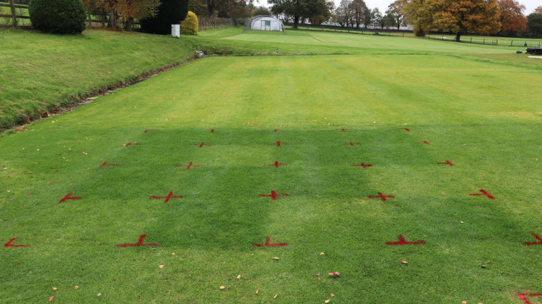 STRI turf trial plots marked with red crosses, showing visible differences in turf colour and quality between fertilizer treatments.