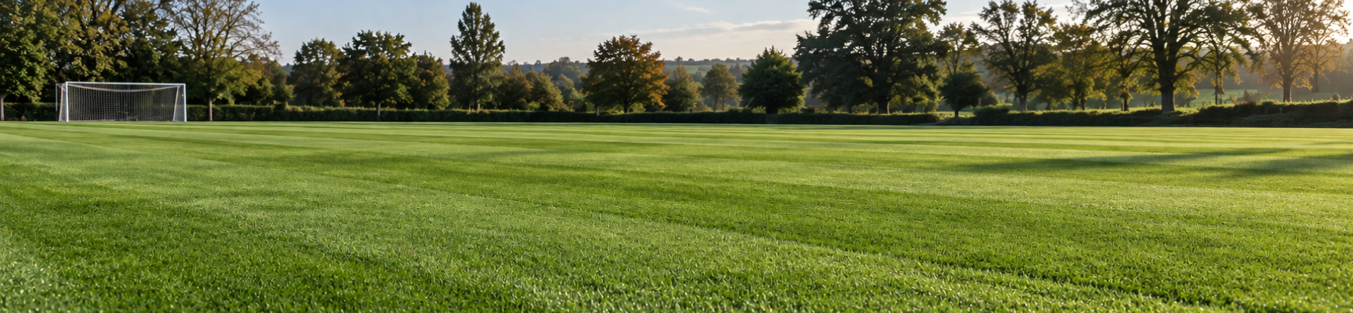 Groundforce: perennial ryegrass cultivar profile