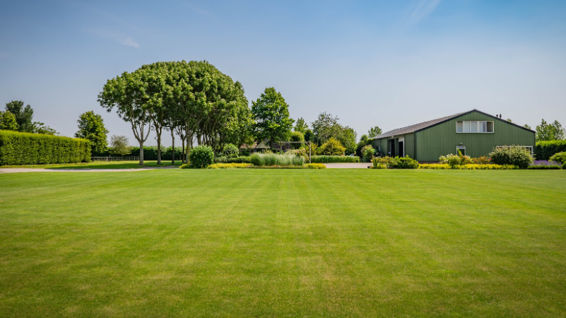 Turfgrass trial area at Den Haan Zaden in the Netherlands.