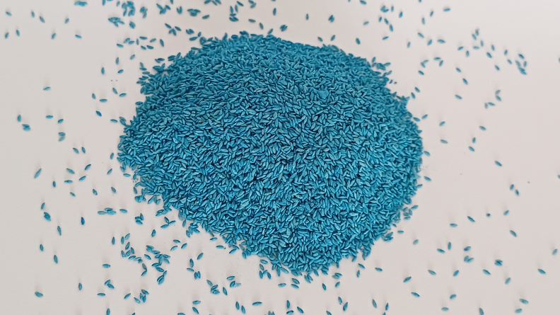 Close-up of blue Smart Start-coated grass seed in a mound with individual seeds scattered around it.