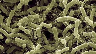 What Are Microbial Biostimulants? A 2026 Guide.