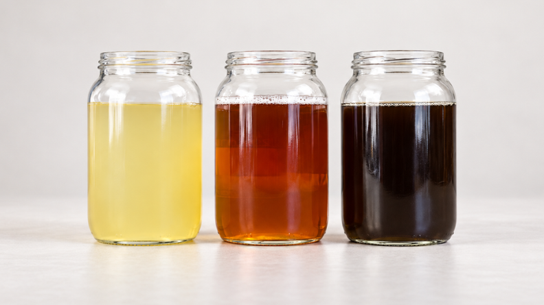 Three Ascophyllum nodosum seaweed extracts shown side by side: cold blend on the left, acid extraction in the center and alkaline extraction on the right.