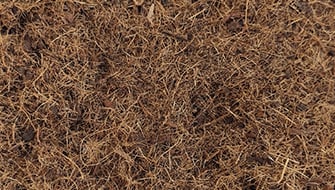 Coir in Growing Media: A Technical Guide for Growers
