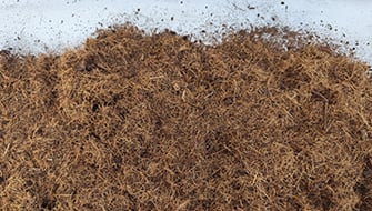 Overview of Coir Origins and Processing Characteristics for Growing Media