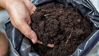 Green Compost: How It Contributes to Growing Media Characteristics