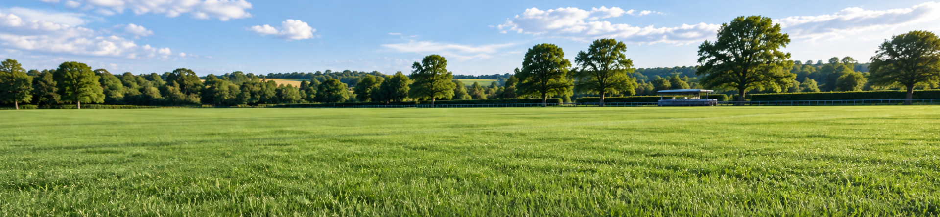 Greenheaven: tall fescue cultivar profile