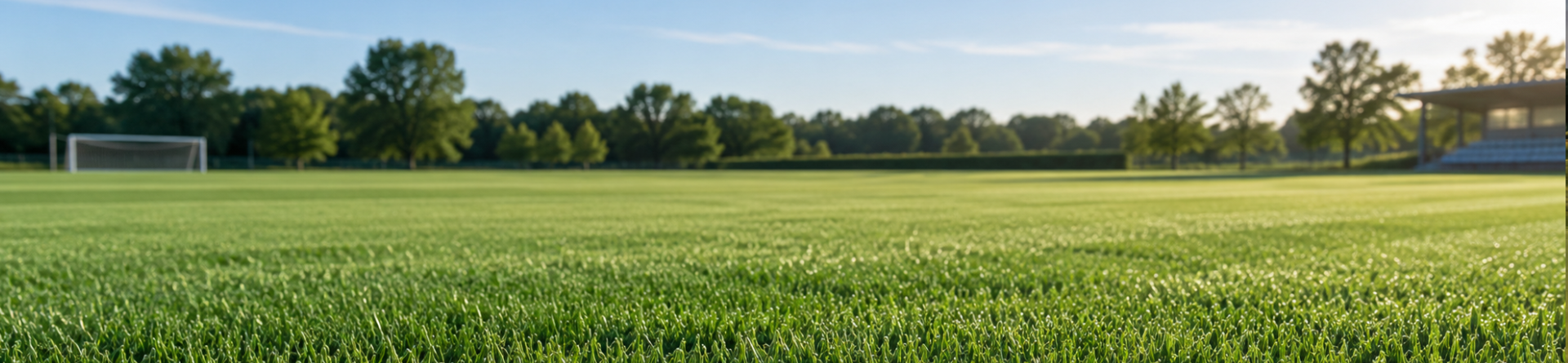Stellar 4GL: perennial ryegrass cultivar profile