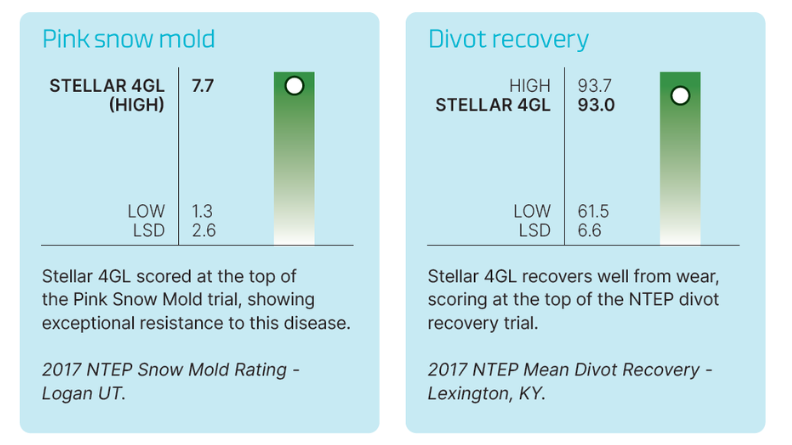 Stellar 4GL recorded 7.7 for Pink Snow Mold resistance and 93.0% divot recovery in NTEP trials.