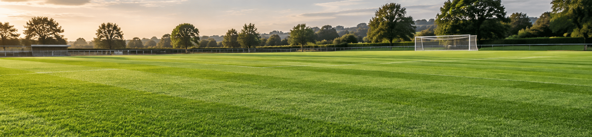 Raptor LS: tall fescue cultivar profile