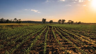 Beyond MAP: Getting More from Your Granular Phosphorus Program
