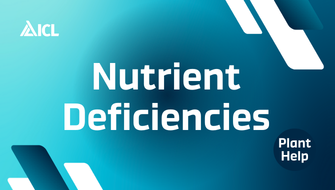 Nutrient Deficiencies in Plants