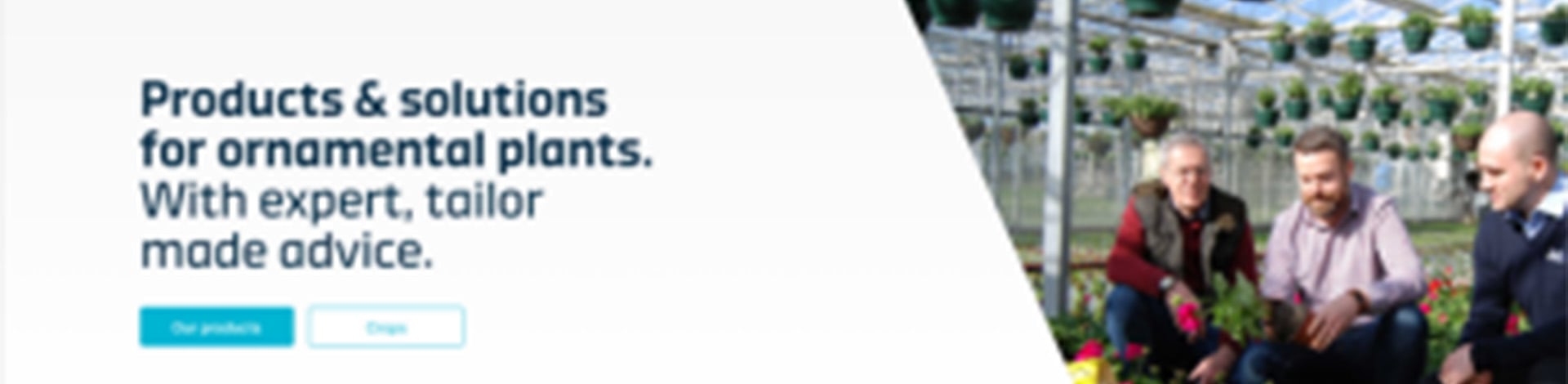 ICL launch a new website! | ICL UK