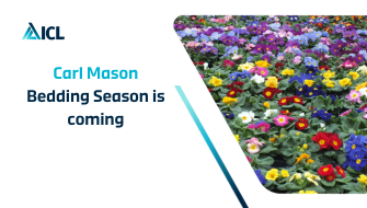 Get planning for spring bedding now!