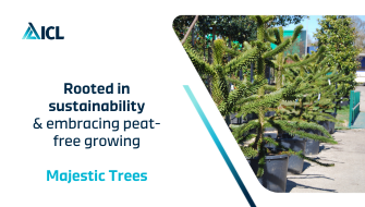 Majestic Trees embraces peat-free growing
