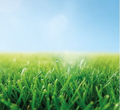 ICL launches Greenmaster Liquid Advance