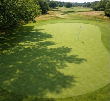 Why Turf Stress Always Comes Back to Photosynthesis