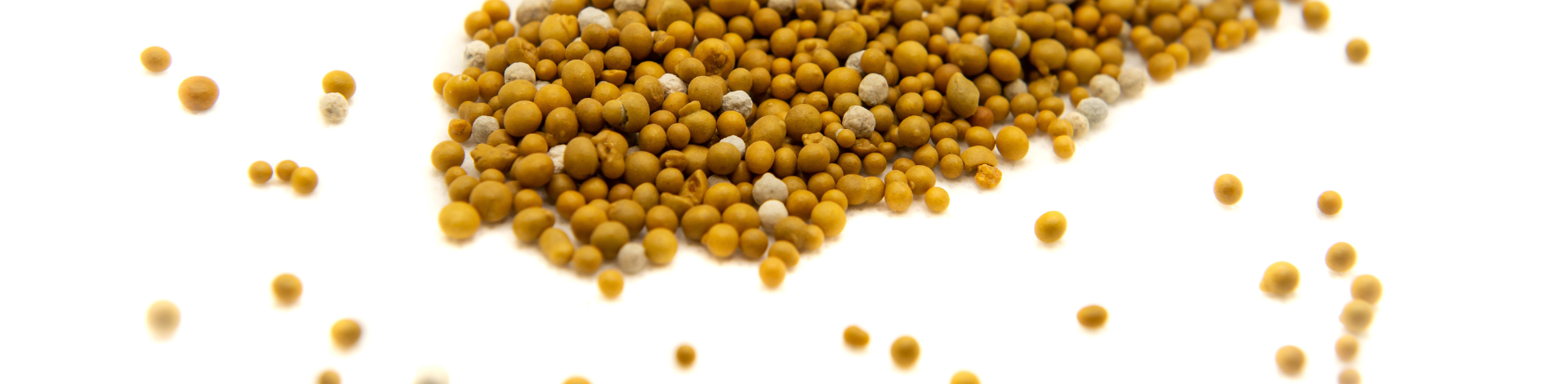 The importance of topdressing container plants after wet weather