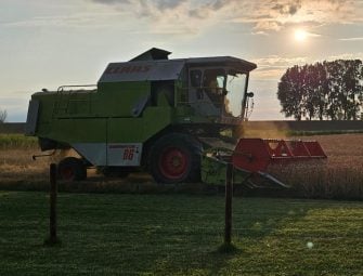 Harvest Nutrient Replacement: Why Soil Testing Should Start at Harvest