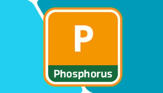 Phosphorus in Turf Management
